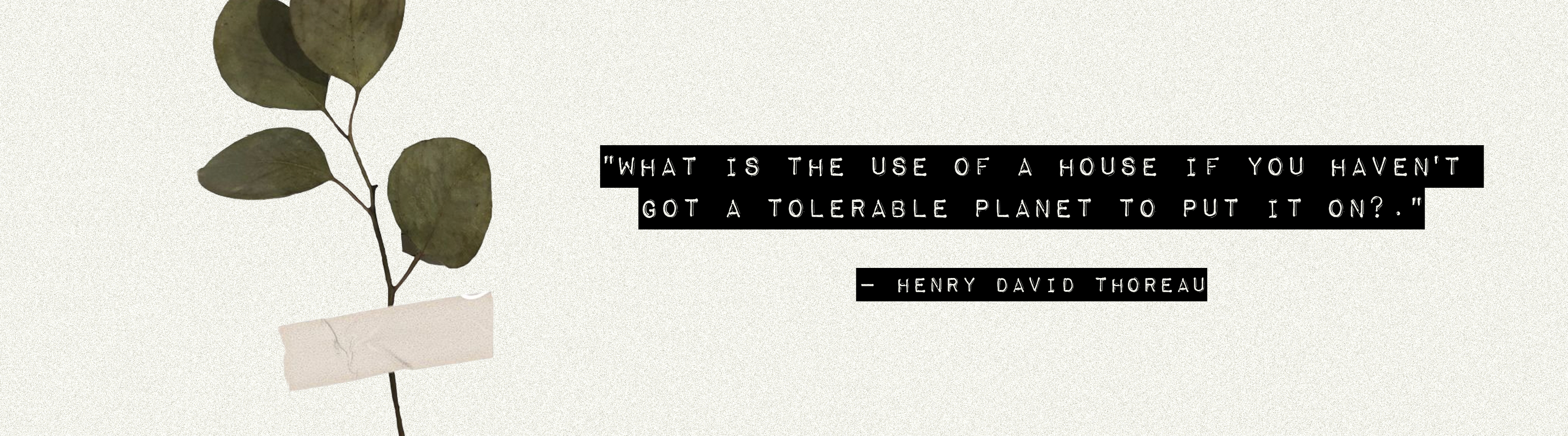 What is the use of a house if you haven't got a tolerable planet to put it on? — Henry David Thoreau